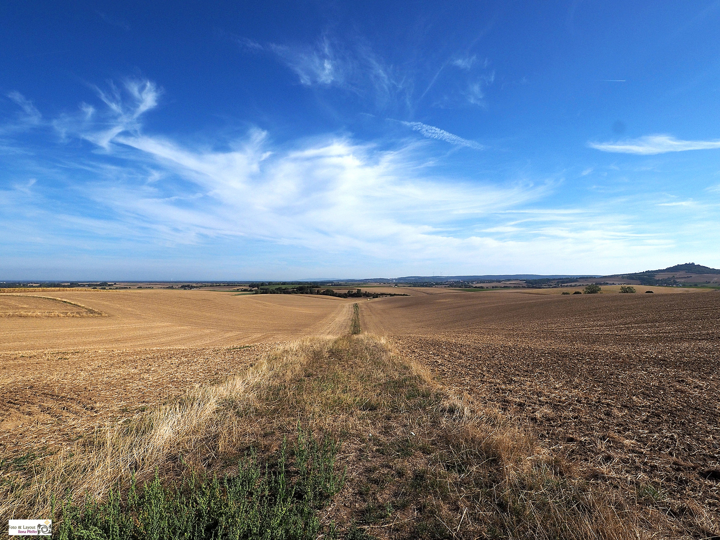 Dem Horizont entgegen