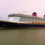 Dem Käpt'n unserer Borkumfähre sei Dank / Extrarunde zum neuen Kreuzfahrtschiff  "Disney Dream"
