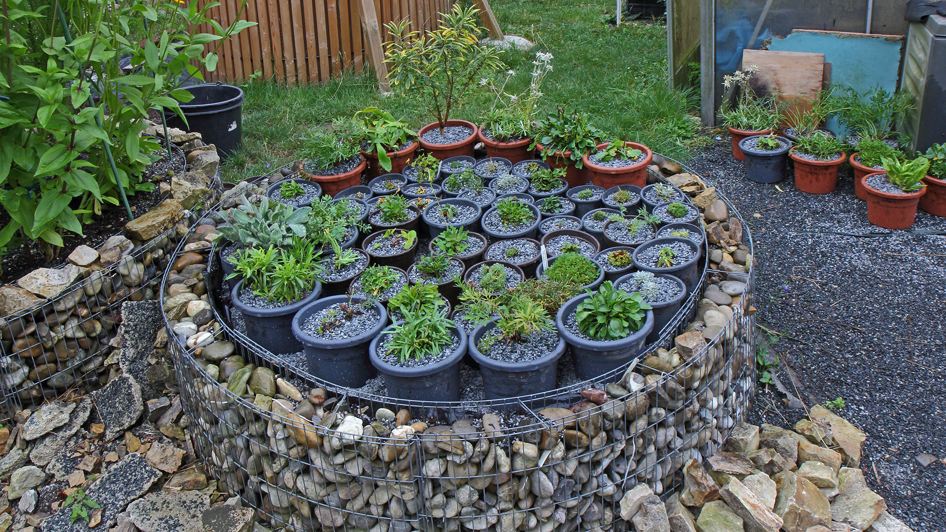 Dem Klimawandel im Garten trotzen und an die neuen Bedingungen anpassen...