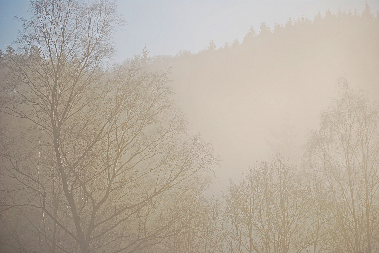 dem Licht entgegen...