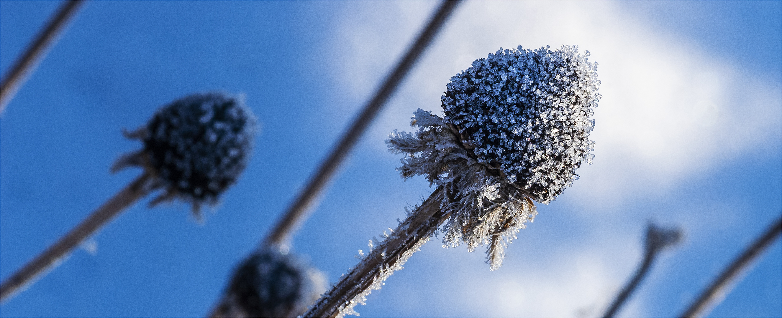 … Dem Licht entgegen …