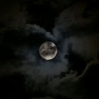 Dem Mond gehört die Nacht