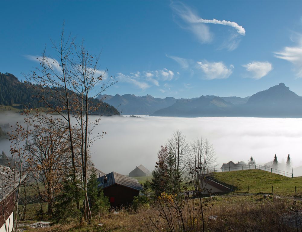 dem Nebel entfliehen