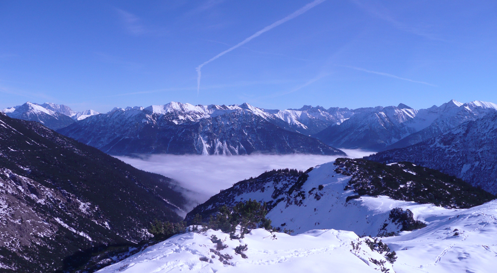 Dem Nebel entfliehen mußte ich ...