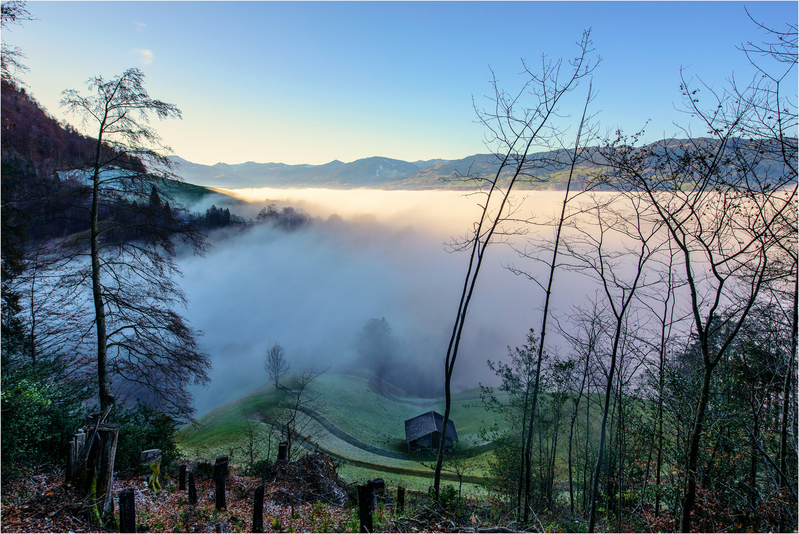 Dem Nebel entflohen