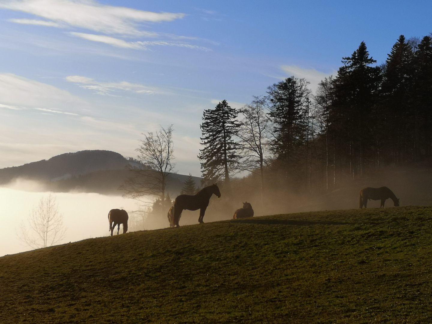 Dem Nebel entkommen