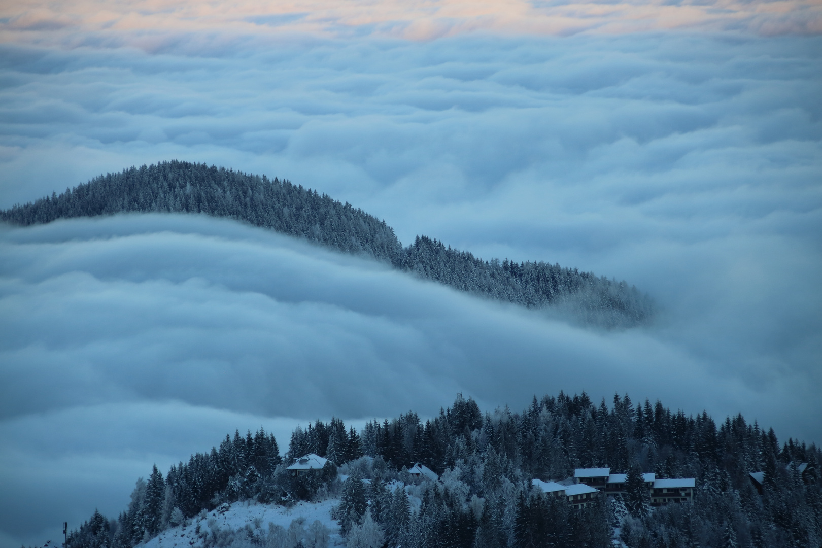 Dem Nebel entkommen