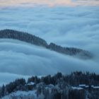 Dem Nebel entkommen