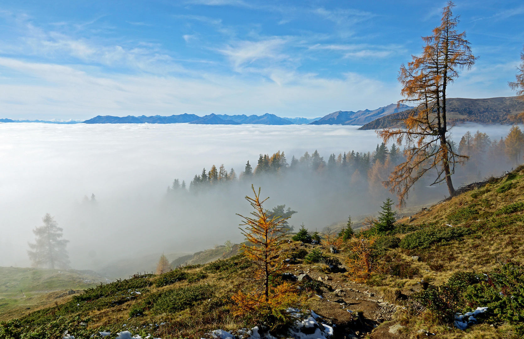 Dem Nebel entronnen