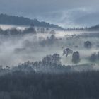 Dem Nebel getrotzt