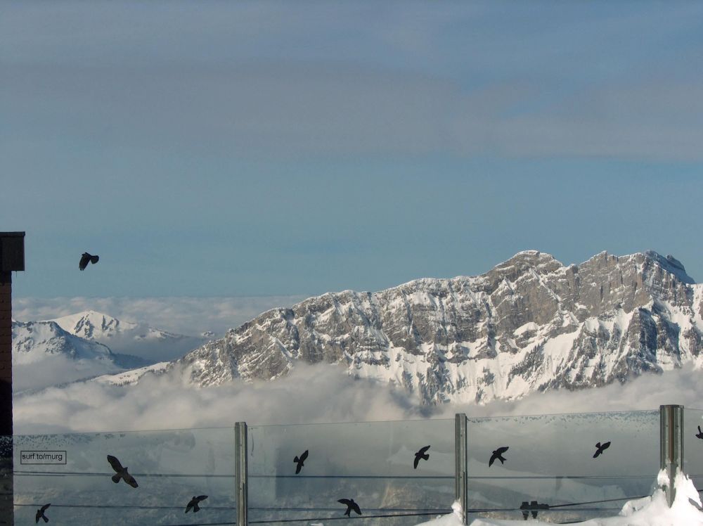 Dem Nebel und den Statisten entflogen