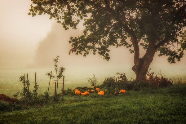 dem Nebel zum Trotz....