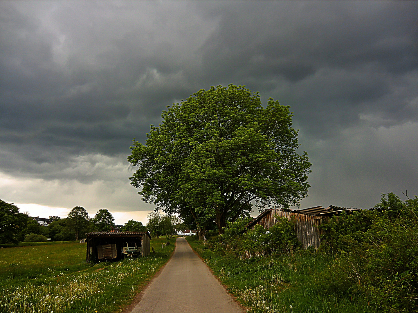 Dem Regen entgegen !