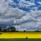 dem Regen entgegen