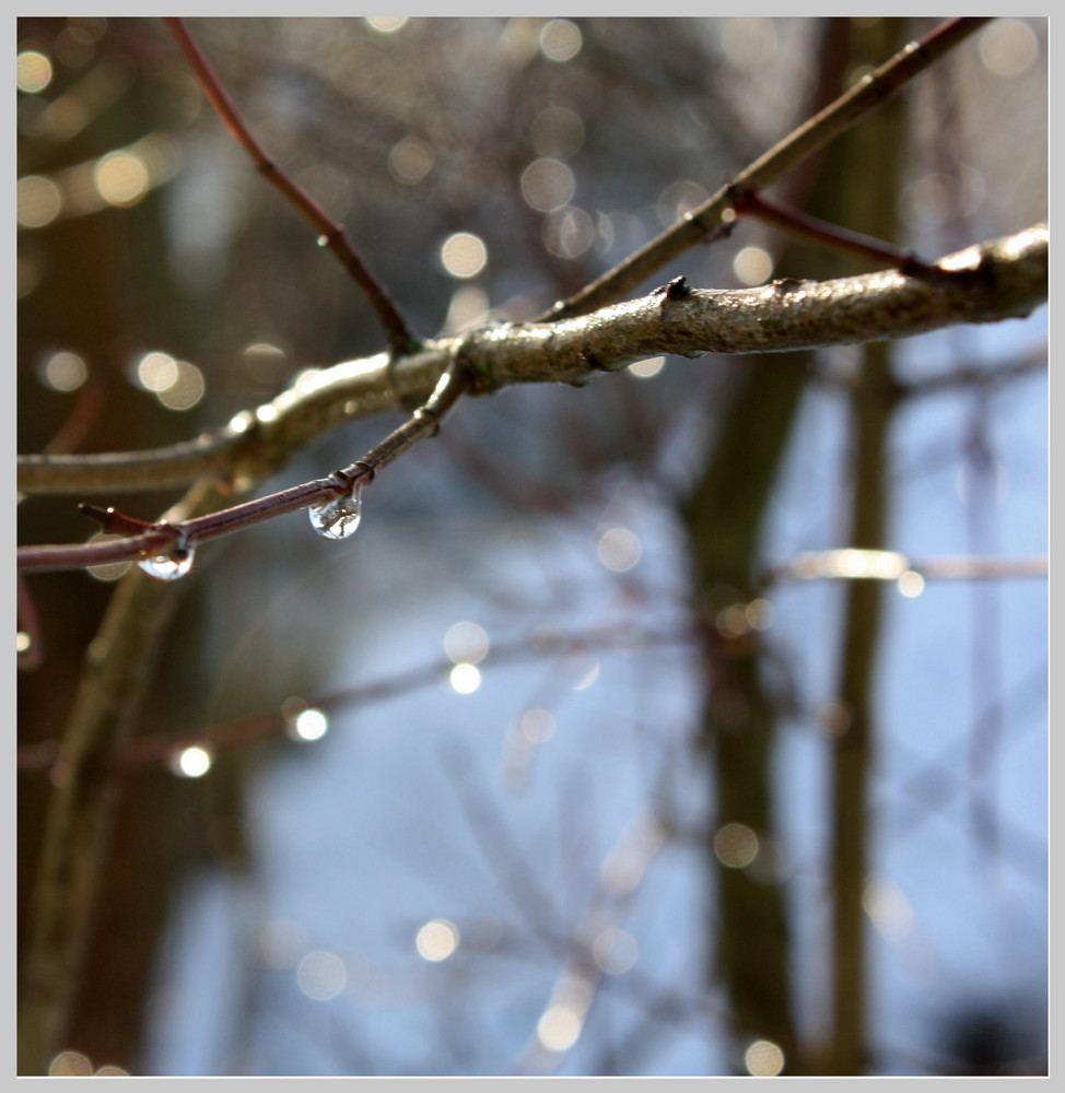 Dem Regen folgt immer die Sonne :)