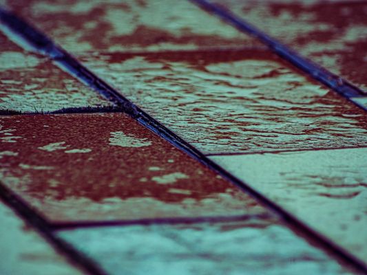 dem Regen geschuldet ...