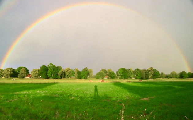 Dem Regen hinterherschauen