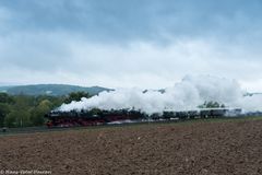 Dem Regen zum Trotz