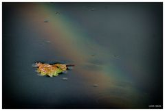 Dem Regenbogen so nah...