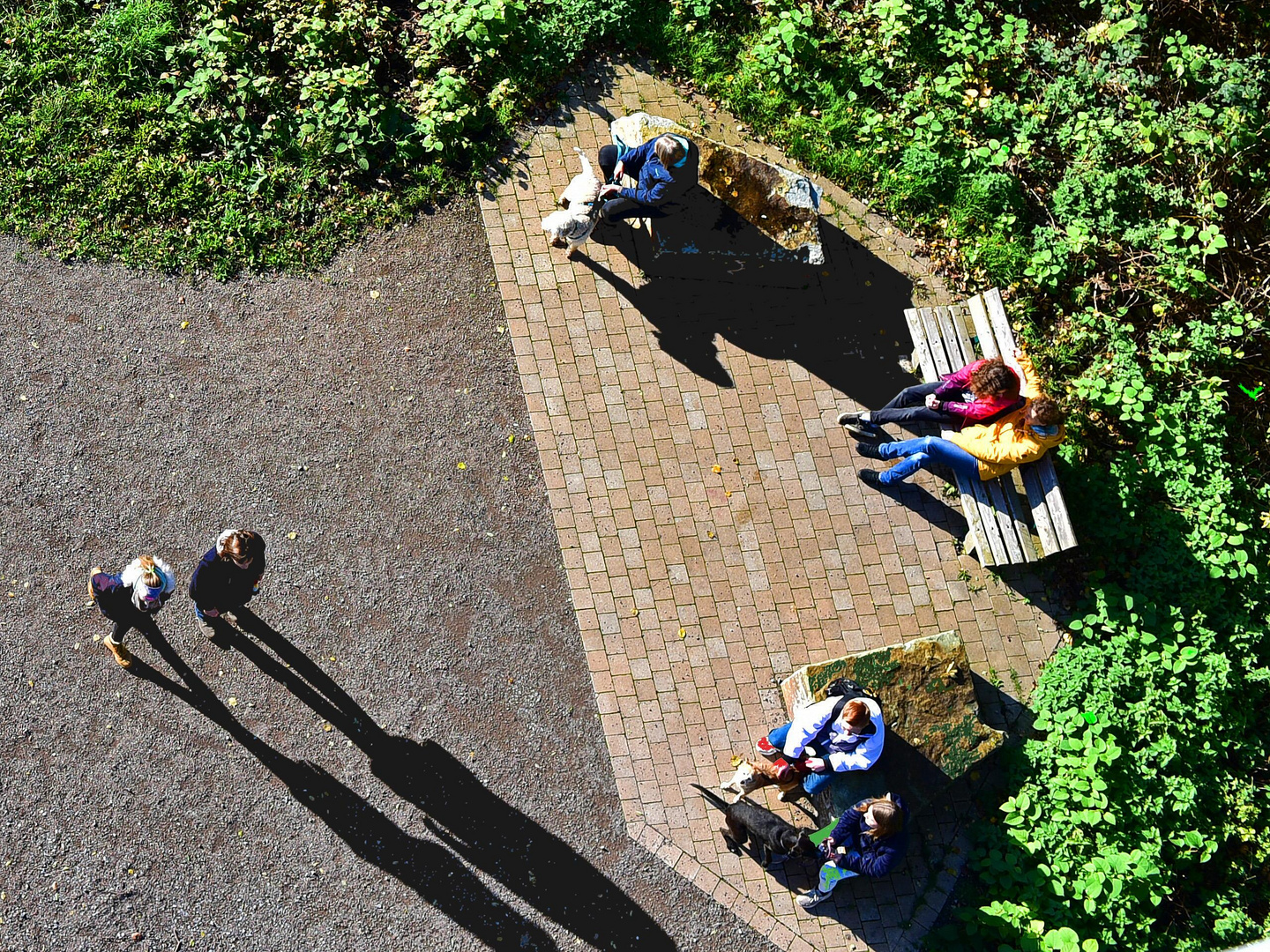 Dem Schatten folgend , geradeaus .