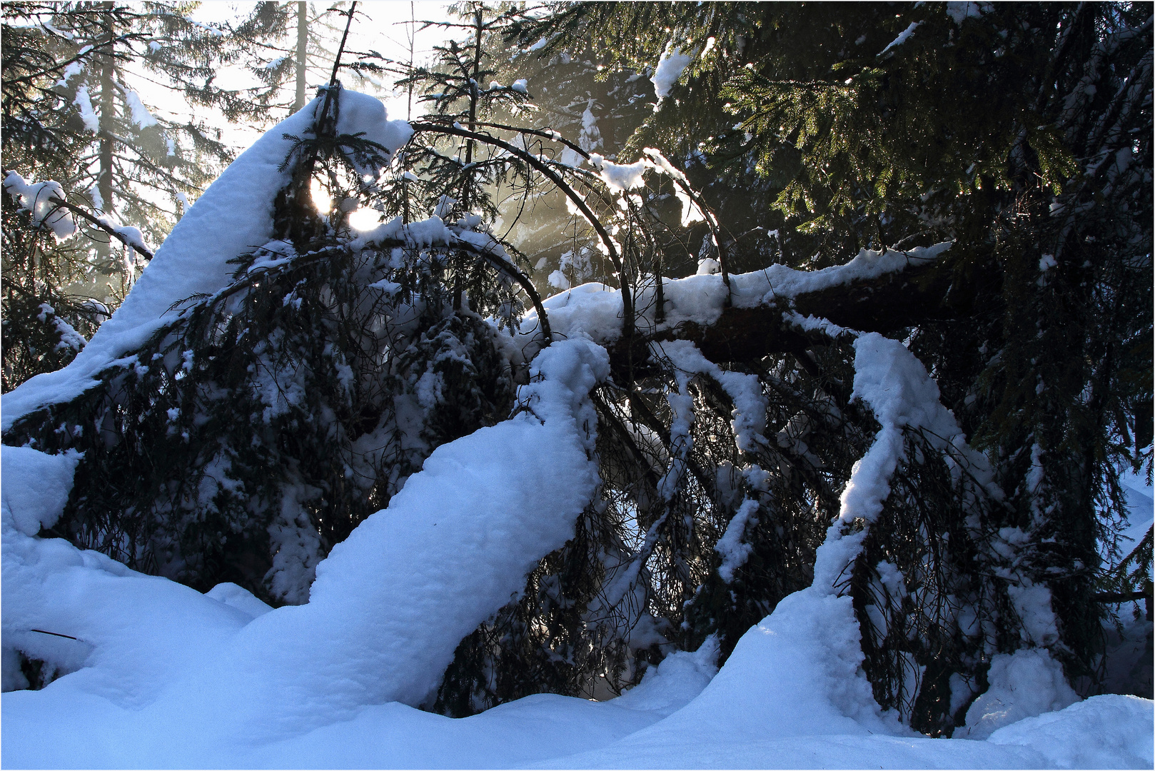 dem Schnee nicht standgehalten