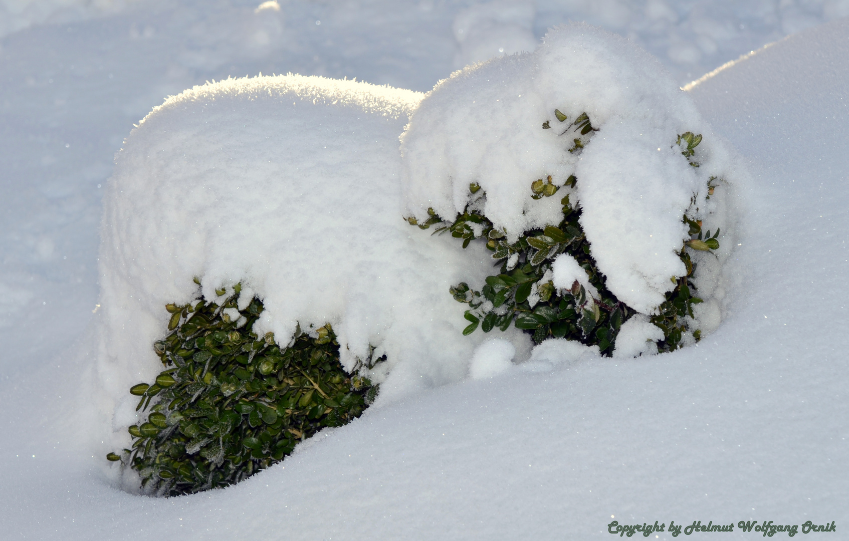 Dem Schnee zum Trotz