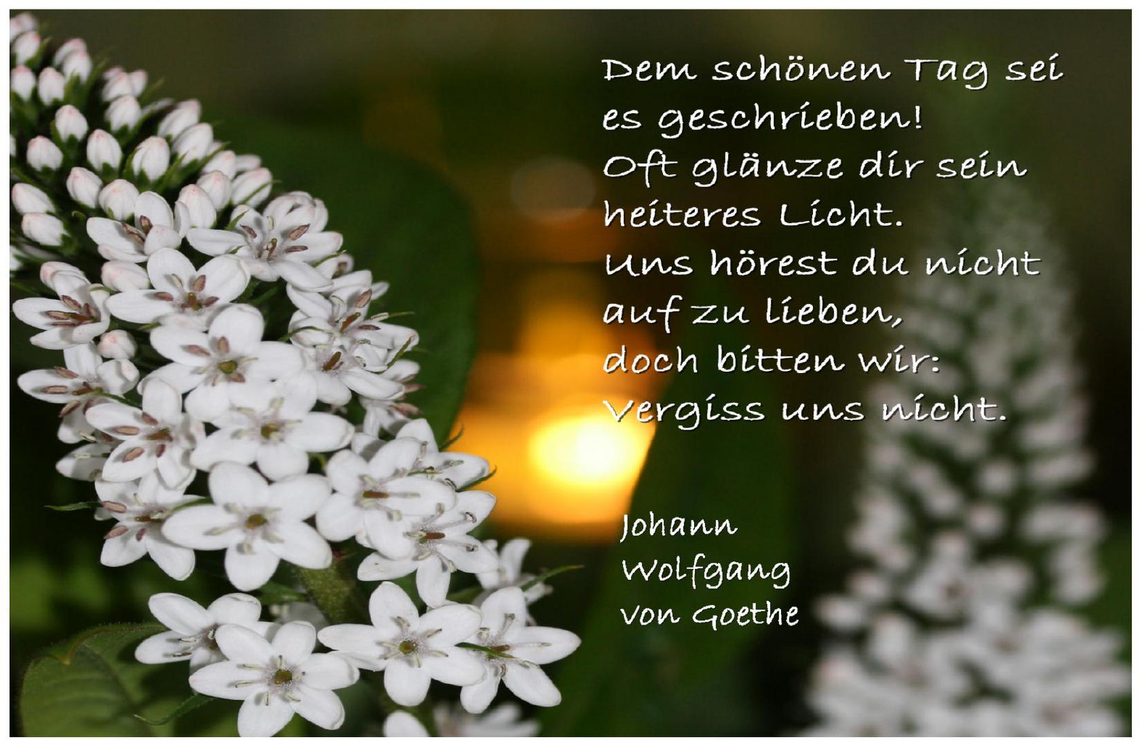 Dem Schonen Foto Bild Emotionen Melancholie Spezial Bilder Auf Fotocommunity
