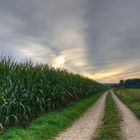 dem Sonnenuntergang entgegen 