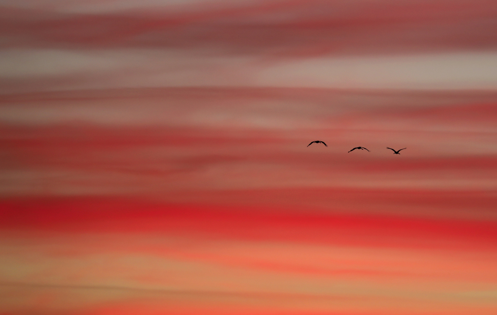 Dem Sonnenuntergang entgegen 