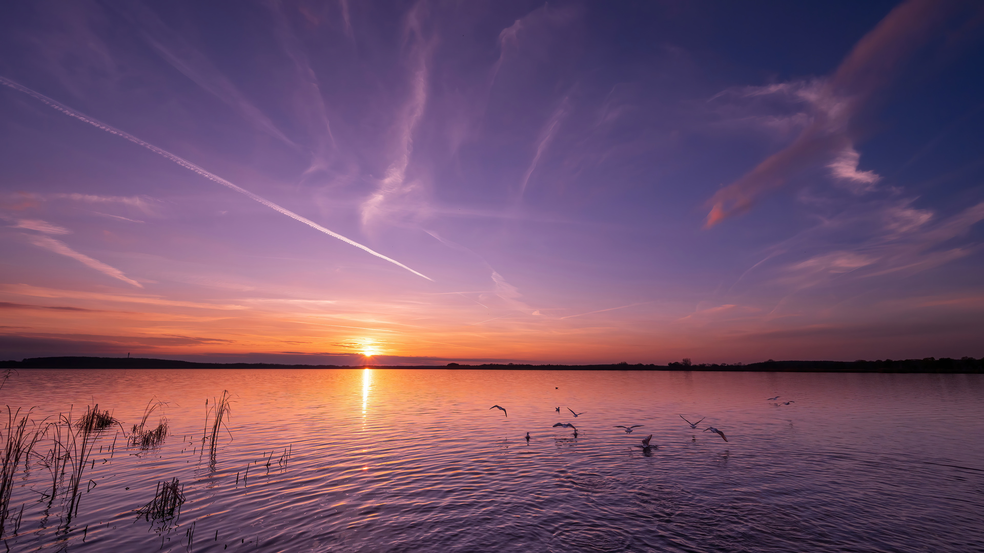 Dem Sonnenuntergang entgegen