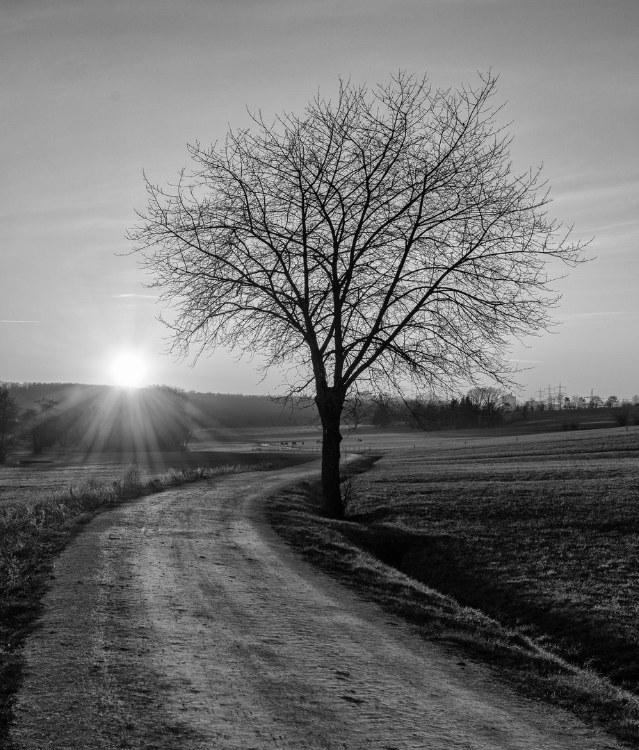 Dem Sonnenuntergang entgegen