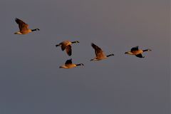 dem Sonnenuntergang entgegen