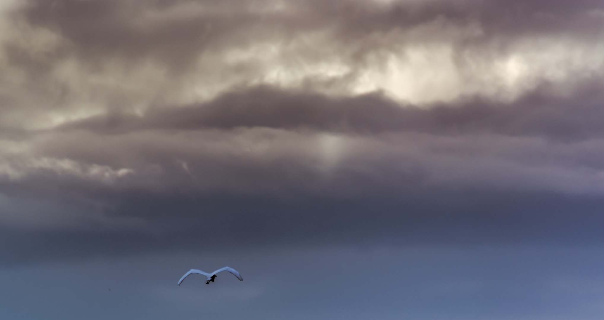 Dem Sturm entgegen