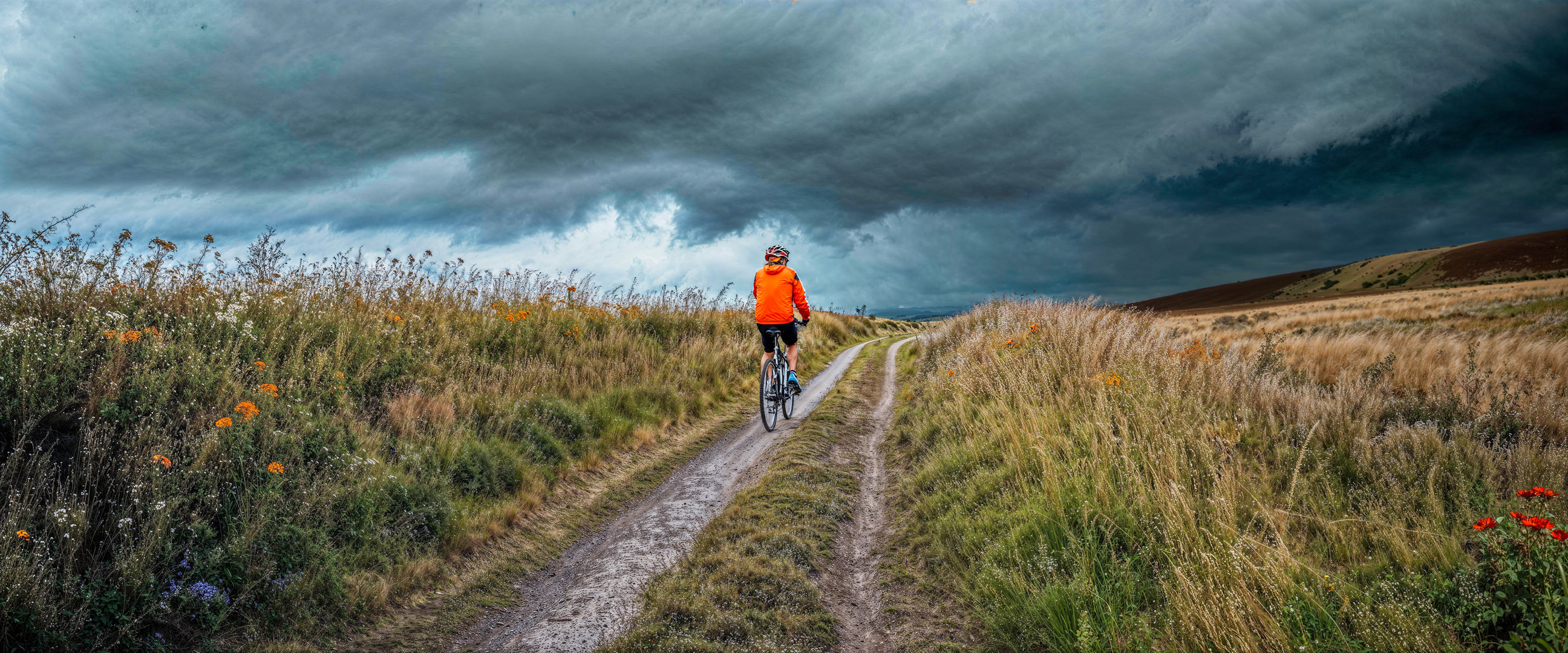 Dem Sturm entgegen