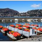 Dem Sturm enttürmt (Pedalos)