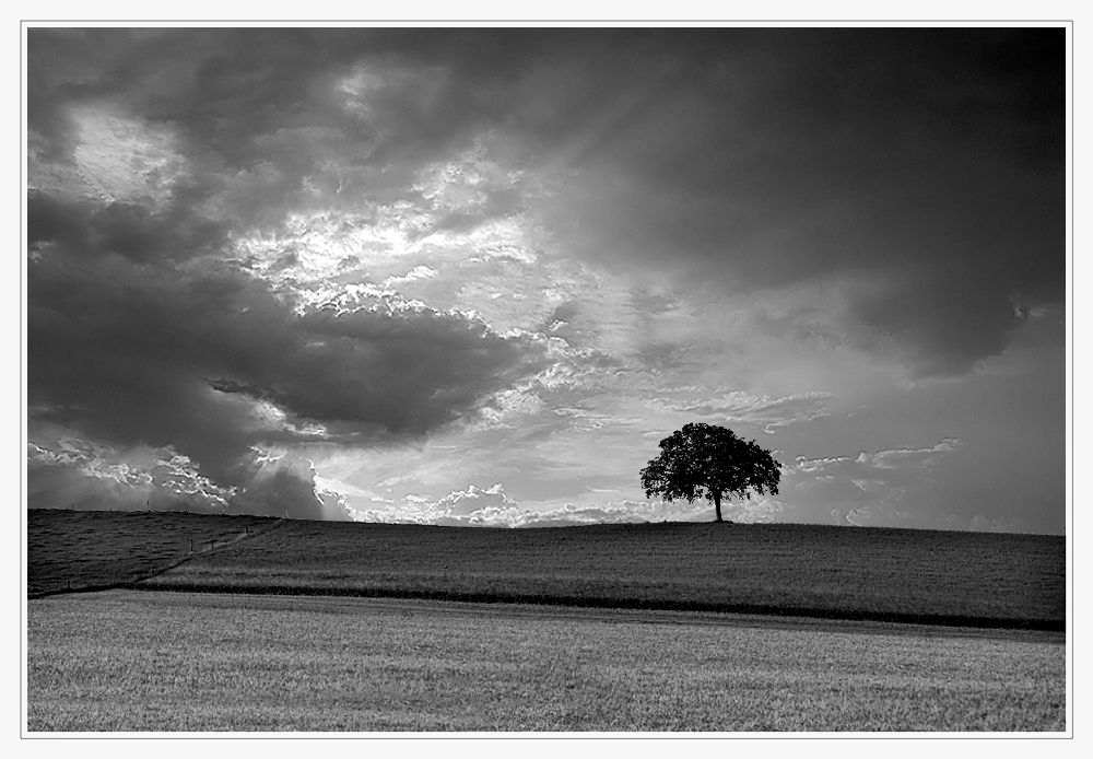 dem Sturm getrotzt