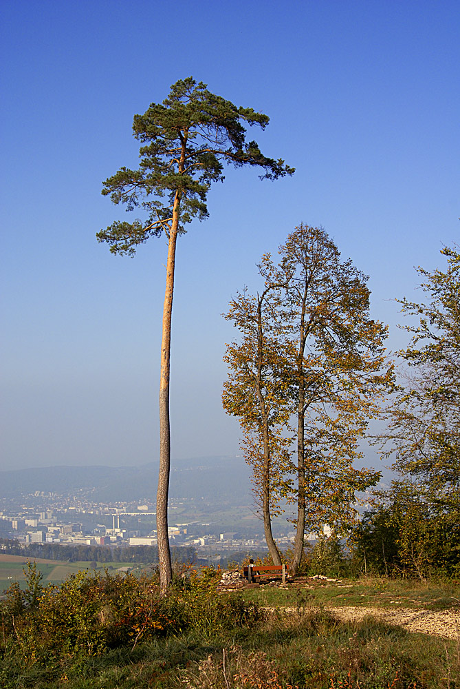 Dem Sturm getrotzt