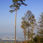 Dem Sturm getrotzt