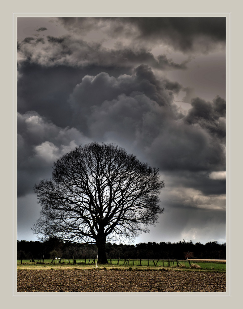 Dem Sturm trotzen