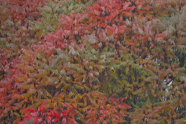 ...dem Tod gut gelaunt ins Auge schauend...1b