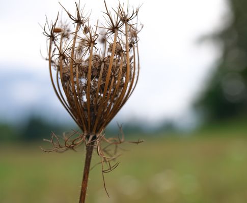 ...dem Tod gut gelaunt ins Auge schauend...2