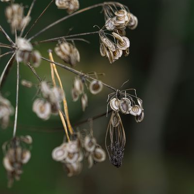 ...dem Tod gut gelaunt ins Auge schauend...6