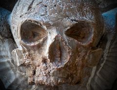 dem tod ins auge blicken...