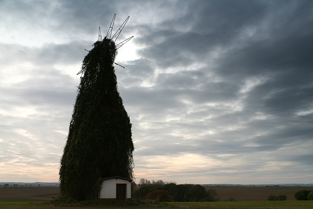 Dem Unwetter entgegenrecken