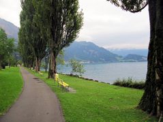 Dem Vierwaldstättersee entlang ...