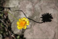 dem warmen Herbstlicht entgegen ...