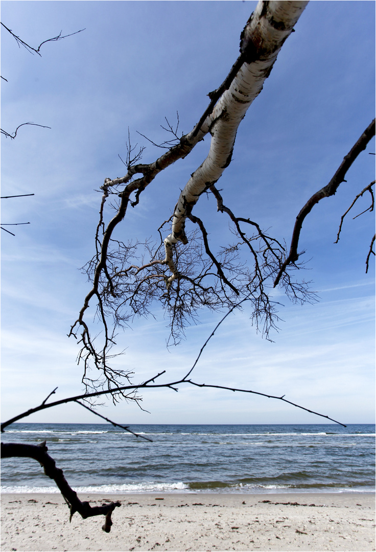 Dem Wasser entgegen