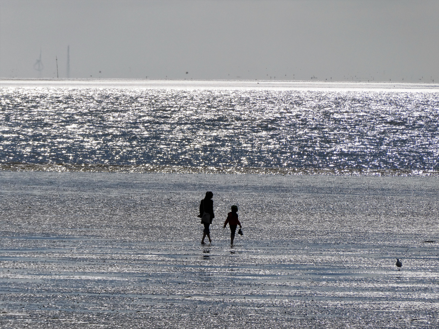 Dem Wasser folgen oder "Ab ins Watt"