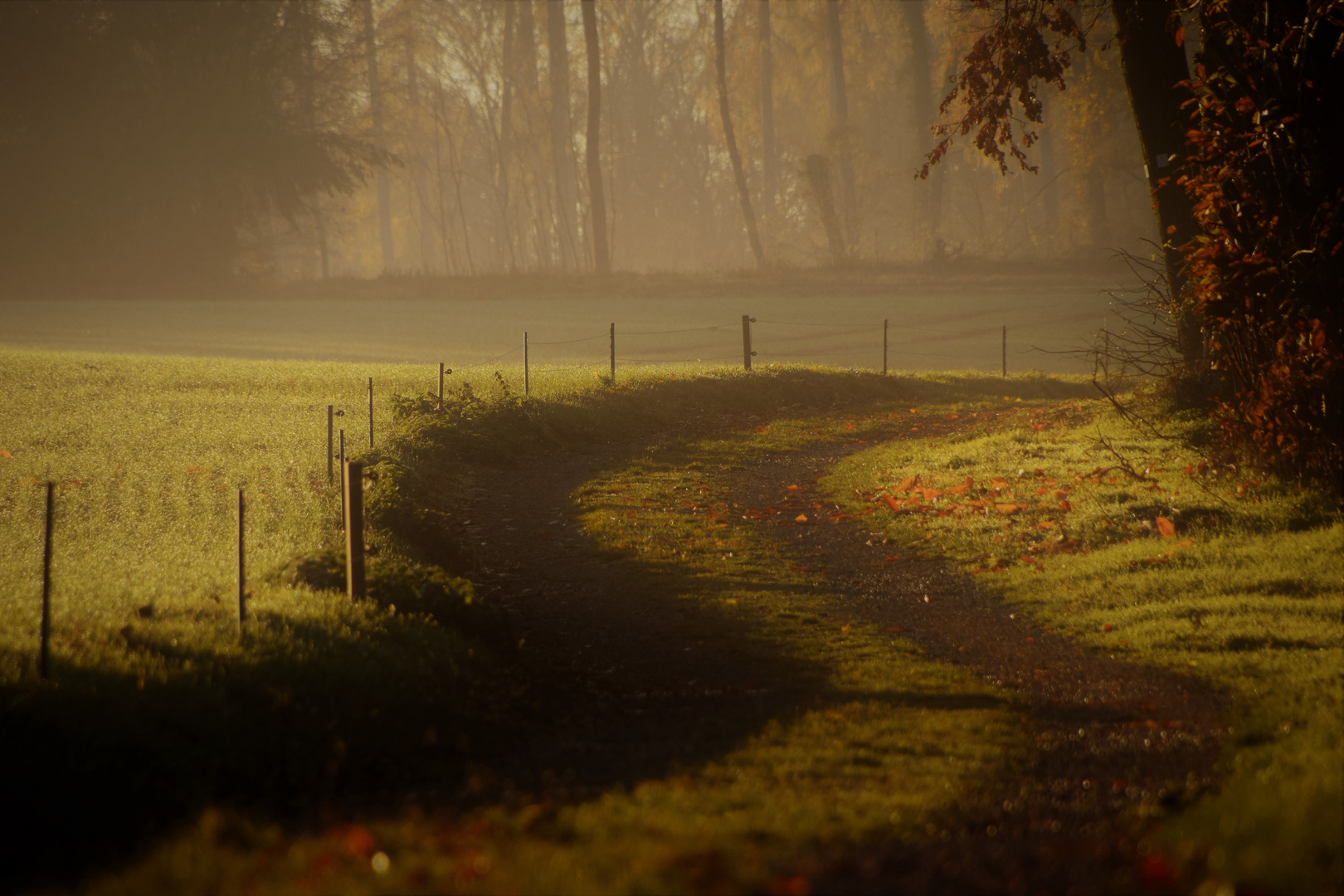 Dem Weg folgen .......