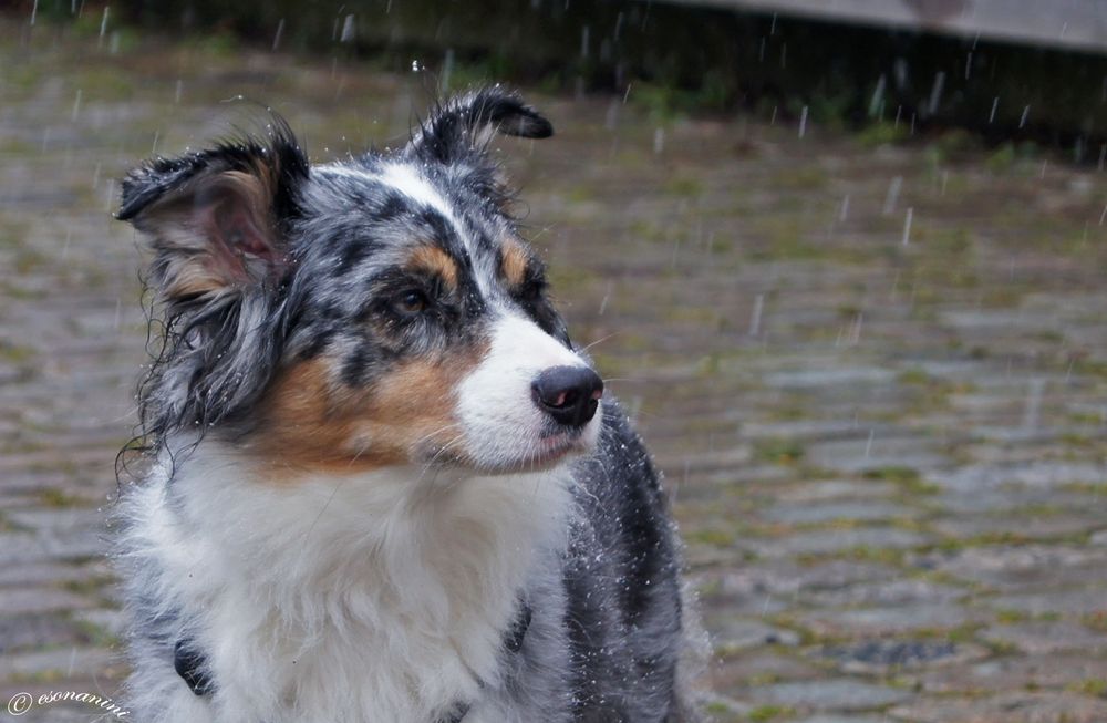 ' dem Wetter trotzen '